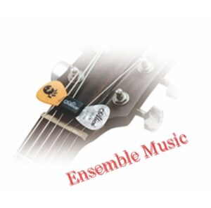 Guitar Rubber Pick Holder